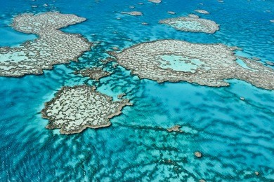 great barrier reef off the coast of queensland, australia.