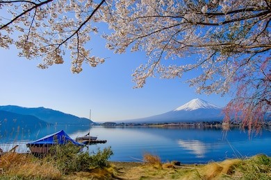 mount fuji with snow capped, blue sky and beautiful cherry blossom or pink sakura flower tree in spring season at lake kawaguchiko, yamanashi, japan. landmark and popular for tourist attractions