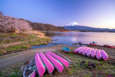 mount fuji with cherry blossom (sakura), view from lake kawaguchiko, japan