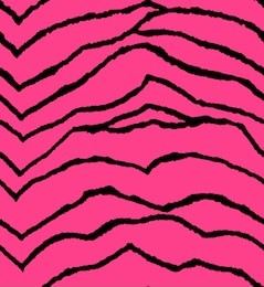 seamless abstract zebra stripes animal skin vector pattern isolated pink background