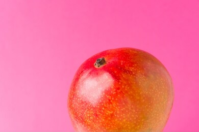 ripe colorful juicy red and yellow mango on bright vibrant neon fuchsia punk background. creative food poster in funky pop art style. bright sunlight. tropical vacation theme. copy space