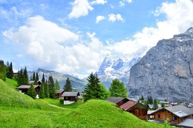 mount jungfrau in background and green field at murren village in the swiss alps
