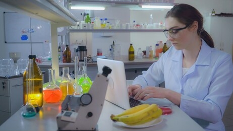 attractive caucasian woman conducting food quality test in microbiological lab. woman sitting at the working place on desk laptop and petri dish plate with fruit banana. friendly doctor typing on