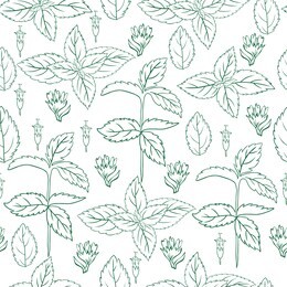 mint leaf, peppermint twig sketch isolated on white background, hand drawn doodle vector seamless floral pattern, spicy herb kitchen texture line art style, for design package tea, wallpaper, cosmetic
