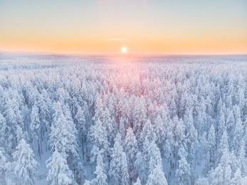 magnificent colorful sunrise in the winter landscape of lapland, finland