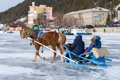 a horse harnessed to a sleigh rides tourists on the ice of lake baikal. listvyanka, siberia, russia 