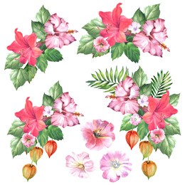 watercolor.set of flowers illustration