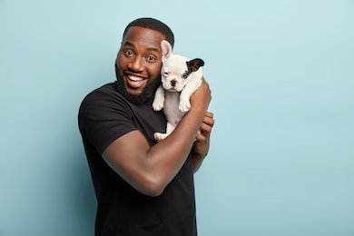 happy satisfied smiling dark skinned man carries small pet of french bulldog breed, spend leisure time together, expresses positive emotions during photoshoot with dog, isolated over blue background