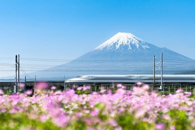 shinkansen bullet train passing by mount fuji, yoshiwara, shizuoka prefecture, japan