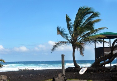 rescue board and lifeguard shack sit on the punaluu black sand beach on the big island of hawaii.  lone palm tree and shower station sit besides them.