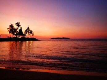 beautiful sunset view and silhouette coconut palm trees on beach in tanjung aru beach, kota kinabalu, sabah. malaysia, borneo.