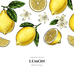 vector frame with lemons and flowers. hand drawn. vintage style