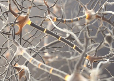 neuron cells transmitting information. 3d render.