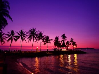 beautiful sunset view and silhouette coconut palm trees on beach in tanjung aru beach, kota kinabalu, sabah. malaysia, borneo.