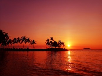 beautiful sunset view and silhouette coconut palm trees on beach in tanjung aru beach, kota kinabalu, sabah. malaysia, borneo.