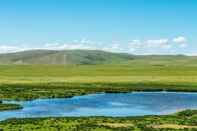 landscape of lakes, grasslands, mountains, plateau herds under blue sky and white clouds, qinghai-tibet railway, china