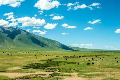 
blue sky, white clouds and green grassland mountains, plateau ranch, tibet-tibet railway, china 