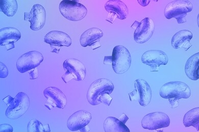 a pattern of champignons in neon holographic blue and pink colors. background in duotone colors. creative fluorescent color layout made. design for brochures, posters, covers, banners.