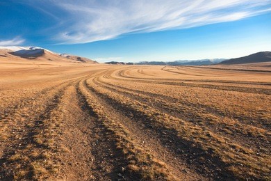 the road in the desert. central asia between the russian altai and mongolia
