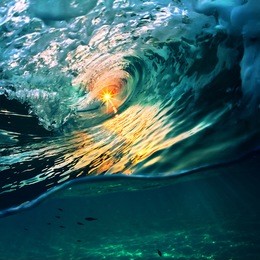 rough colored ocean wave falling down at sunset time