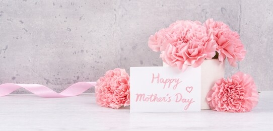 may mothers day handmade giftbox wishes photography - beautiful blooming carnations with pink ribbon box isolated on fair-faced gray background desk, close up, copy space, mock up