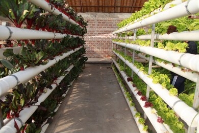  
soilless cultivation facilities agriculture