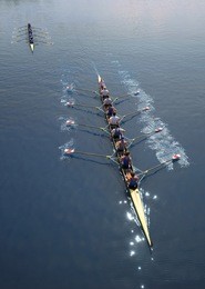 two boats of eight men with helmsman are rowing  on a sunny day.