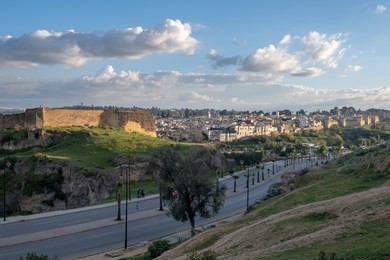 morocco fes city view from marinid tomb