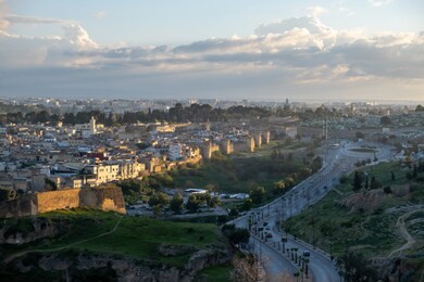 morocco fes city view from marinid tomb