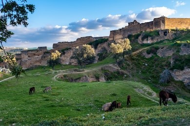 morocco fes merinide necropole