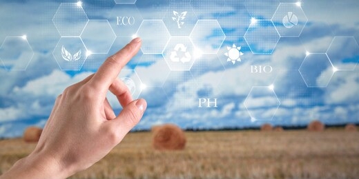 smart agriculture. farmer using tablet corn planting. modern agriculture concept.