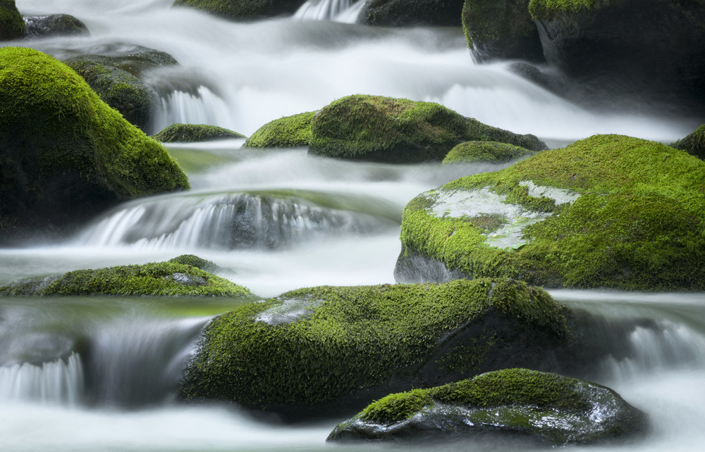 cascading water over bright green moss-covered boulders in tennessee