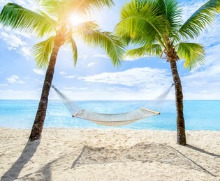 hammock between two coconut trees on a tropical island with beautiful beach