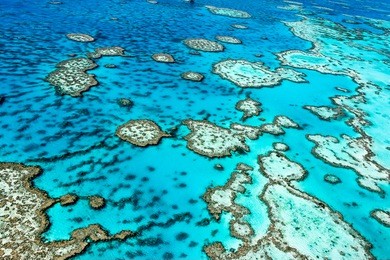 the great barrier reef in queensland, australia.