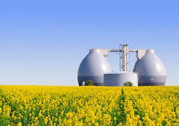 biogas plant next to a yellow rape field in spring