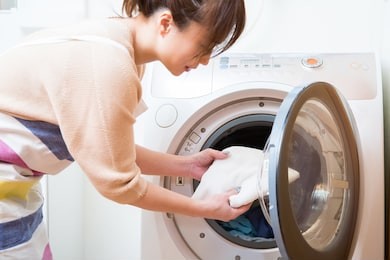 the woman who does housework
