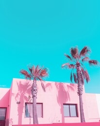 canary island. palm. pink pastel colours trend. fashion travel vibes