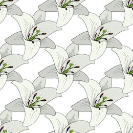 vector lily floral botanical flower. wild spring leaf wildflower isolated. black and white engraved ink art. seamless background pattern. fabric wallpaper print texture.