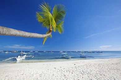 view of the beautiful beach on panglao island, bohol