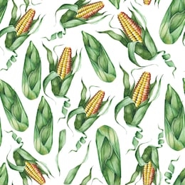 watercolor seamless pattern of summer ripe corn