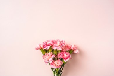 mothers day design concept - top view of a bunch of carnation on pink background for mothers day, wedding and valentines day with copy space for mock up