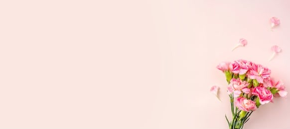 mothers day design concept - top view of a bunch of carnation on pink background for mothers day, wedding and valentines day with copy space for mock up