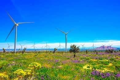 windmill farm beautiful in spring time with all colourful flowers and blue sky at mojave windmill farm california