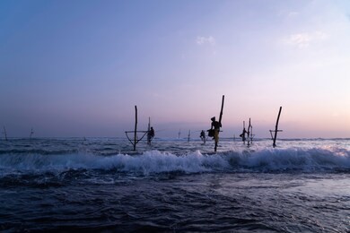 silhouettes of the traditional fishermen at the sunset in sri lanka