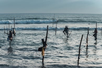 silhouettes of the traditional stilt fishermen at the sunset in sri lanka  on weligama beach