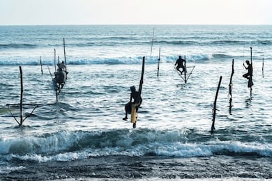 silhouettes day of the traditional stilt fishermen at the sunset in sri lanka, weligama beach