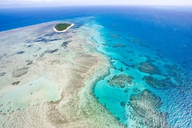 aerial view of great barrier reef from helicopter, queensland, australia
