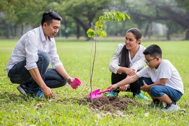 happy asian family, parents and their children plant sapling tree together in park . father mother and son,boy having fun and laughing outdoors . cheerful . volunteering, charity, people,ecology 