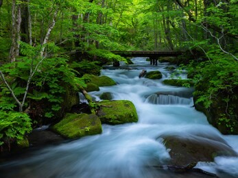 oirase stream, oirase stream (oirase keiryū) is a picturesque mountain stream in aomori prefecture that is one of japan's most famous and popular autumn colors destinations. janpan  aomori ken