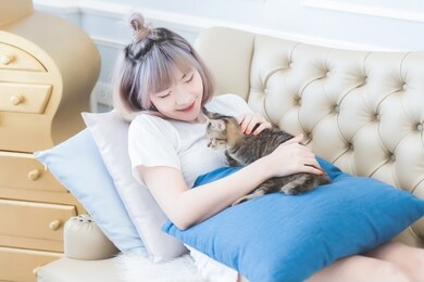 beautiful young asian thai woman was lying on the sofa with his cat happily and stroking the cat's head with love in the living room in the morning in bangkok, thailand.